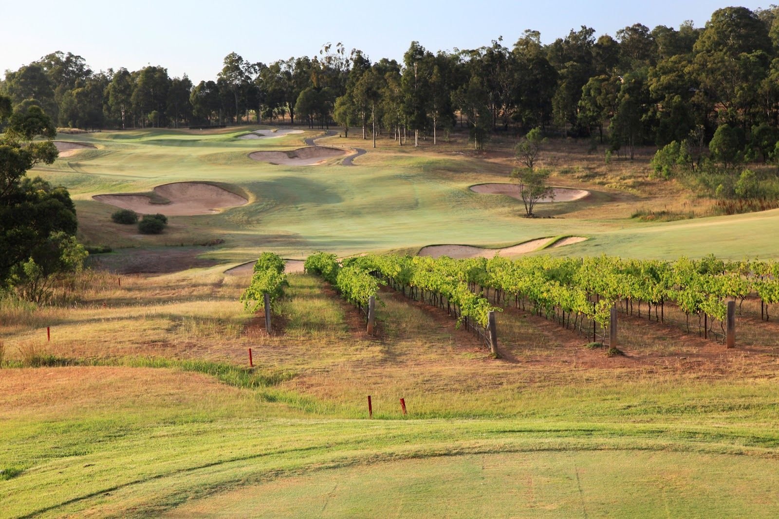 Cypress Lakes Resort